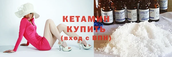 шишки Новозыбков
