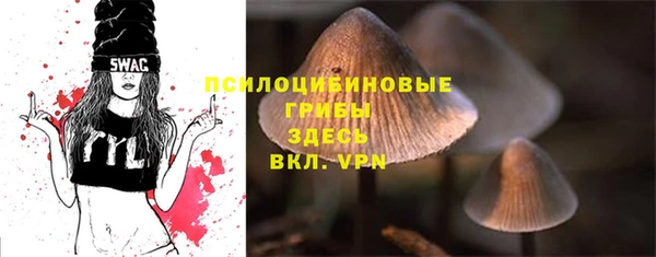 COCAINE Козельск