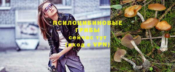 a pvp Алексеевка