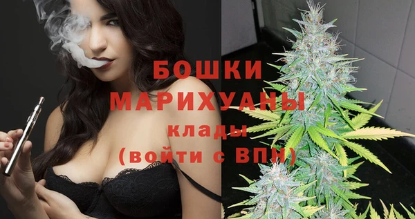 шишки Новозыбков