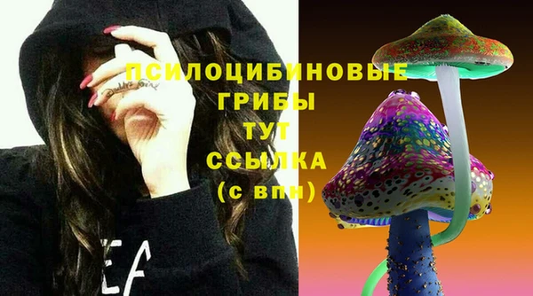 стафф Новокубанск